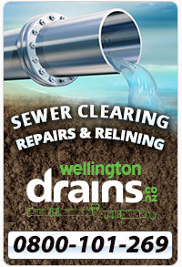 Professional Drain Cleaning